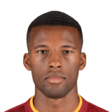 Georginio Wijnaldum Face Scan