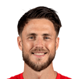 Ricky van Wolfswinkel Face Scan