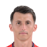 Ante Budimir Face Scan