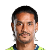 Alphonse Areola Face Scan