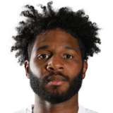 Ellis Harrison Face Scan