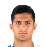 Bicho Face Scan