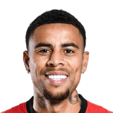 Gustavo Face Scan