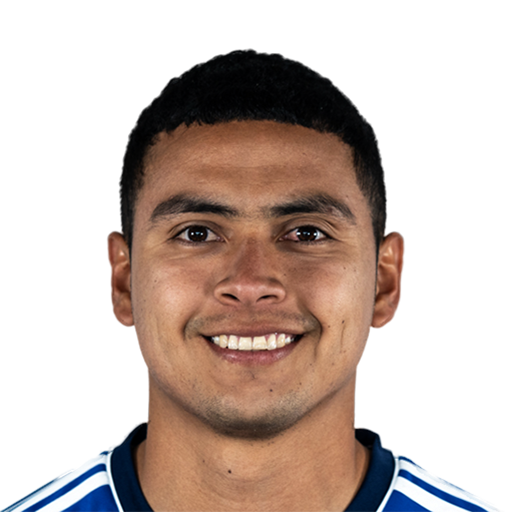Stiven Vega Face Scan