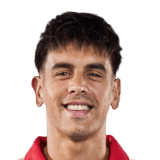 Alexis Castro Face Scan