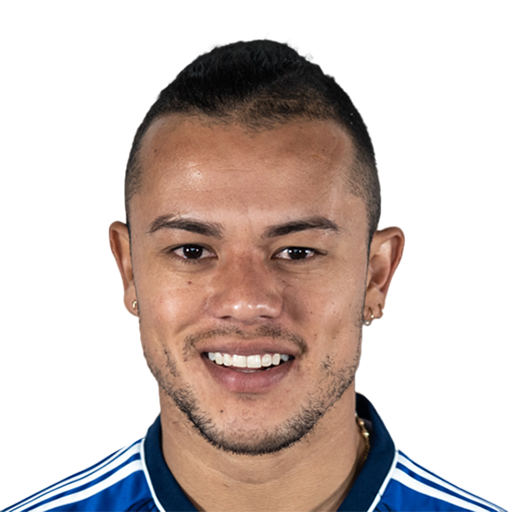 Leonardo Castro Face Scan