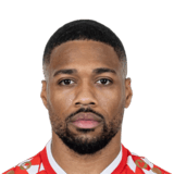 Arnaud Nordin Face Scan