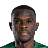 Michael Ngadeu Face Scan
