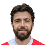 Dominik Pelivan Face Scan