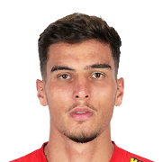 Marco Dulca Face Scan