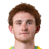 Josh Sargent Face Scan