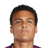 Neto Borges Face Scan