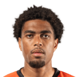 Julien Ponceau Face Scan