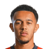 Dion Pereira Face Scan