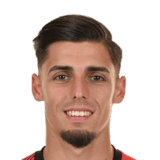 Ivan Franjić Face Scan