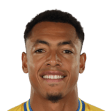 Yohan Roche Face Scan