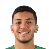 Marco Collao Face Scan