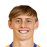 Ben Waine Face Scan