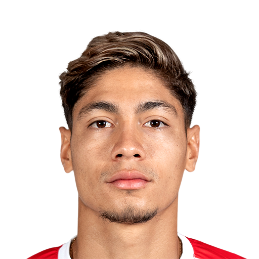 Bryan Castrillón Face Scan