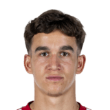 Giovanni Haag Face Scan