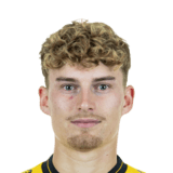 Dominik Kother Face Scan