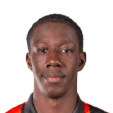 Bandiougou Fadiga Face Scan