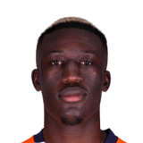 Philippe Paulin Keny Face Scan