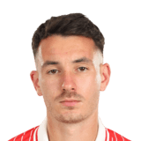 Raul Opruț Face Scan