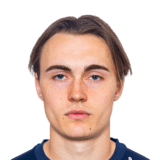 Elias Hoff Melkersen Face Scan