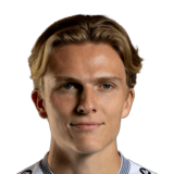Paul Koller Face Scan