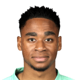 Joshua Oluwayemi Face Scan