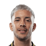 Leonardo Fernández Face Scan