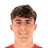 Francés Face Scan