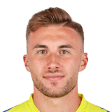 Bogdan Milovanov Face Scan