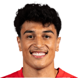 Vitor Carvalho Face Scan