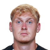 Niklas Geyrhofer Face Scan