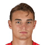 Lukas Gütlbauer Face Scan