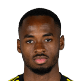Melayro Bogarde Face Scan