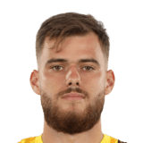 Mihai Udrea Face Scan
