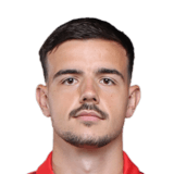 Nicolas Milanović Face Scan