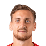 Milan Robin Face Scan