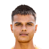 Dani van den Heuvel Face Scan