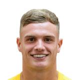 George Wickens Face Scan