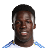 Wilfried Gnonto Face Scan