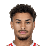 Armindo Sieb Face Scan