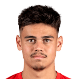 Mees Hilgers Face Scan