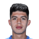 Gabriel Villamíl Face Scan