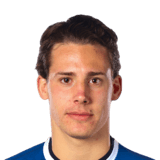 Gabriel Wallentin Face Scan