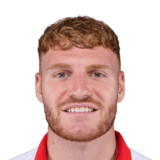 Yorbe Vertessen Face Scan