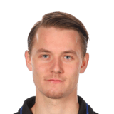 Noel Milleskog Face Scan